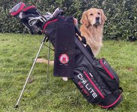 Hund mit Golfbag